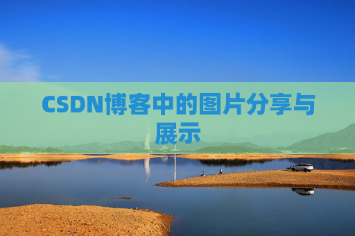 CSDN博客中的图片分享与展示